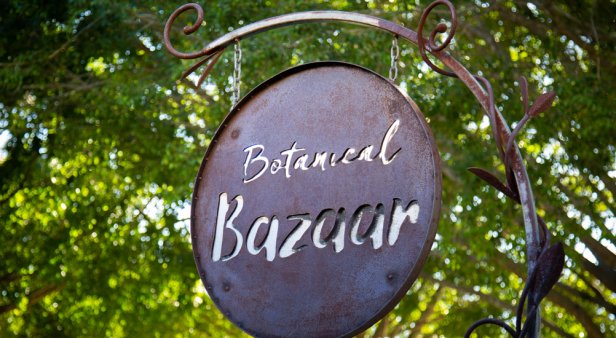 Botanical Bazaar