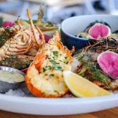 The round-up: get cracking to the Gold Coast&#8217;s best seafood restaurants