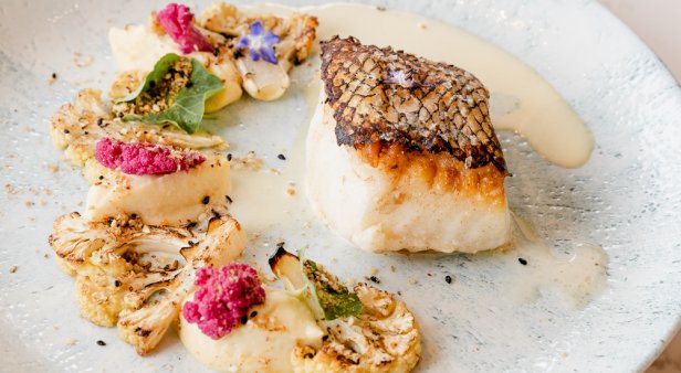 Seeking a fancy feast? Treat your taste buds to a decadent five-course degustation at Citrique