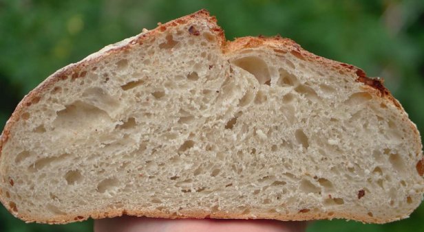 Master the art of sourdough with You Knead Sourdough&#8217;s handy starter kits