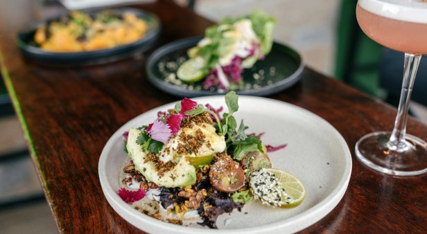 Gather your plant-based pals – Greenhouse Canteen &amp; Bar has a brand spankin’ new menu