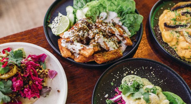 Gather your plant-based pals – Greenhouse Canteen &amp; Bar has a brand spankin’ new menu