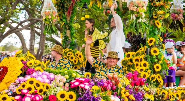 Petal power – our top five things to check out at Toowoomba Carnival of Flowers