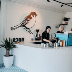 Sparrow Coffee Co