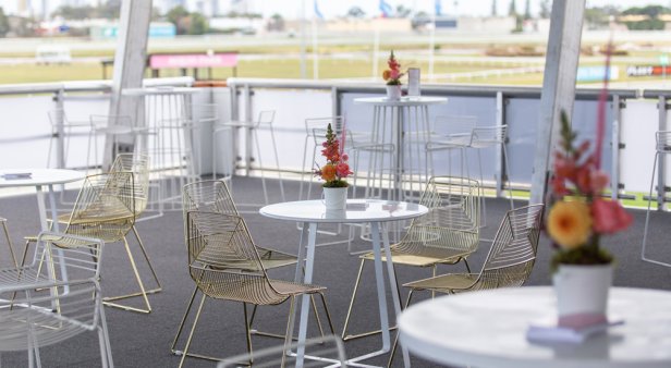 Level up your spring racing experience at The Perch