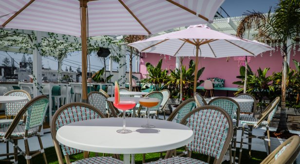 Tropic Vice brings &#8216;Florribean&#8217; fare and curated cocktails to Nobby Beach