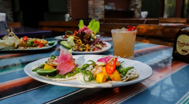 Panchos, Mudgeeraba&#8217;s iconic manor of Mexican eats, is back!