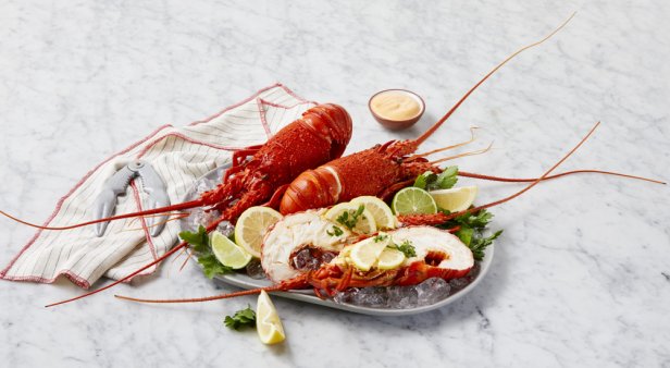 Dust off your B-52&#8217;s record – Coles is cutting the price of Australian rock lobsters just in time for Christmas