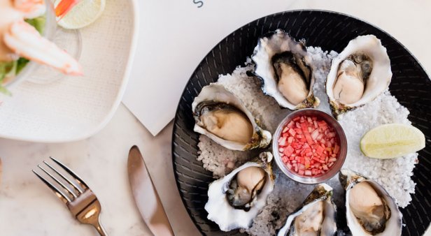 Breezy sips and sunset dips – at long last, Siblings has opened its doors on Kirra&#8217;s famed foreshore
