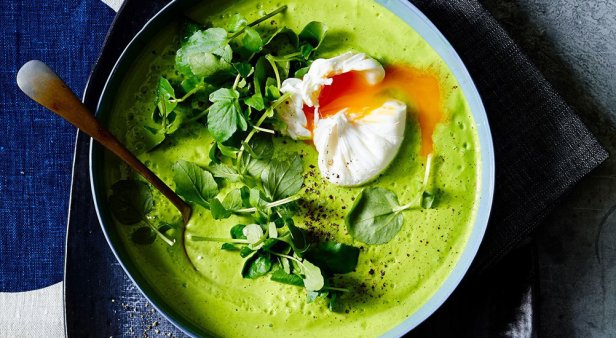 For your health – five immune-boosting recipes to add to your weekly rotation