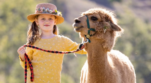 From backpacking alpacas to wilderness navigation festivals &#8211; here are our top five picks for Escape in the Scenic Rim