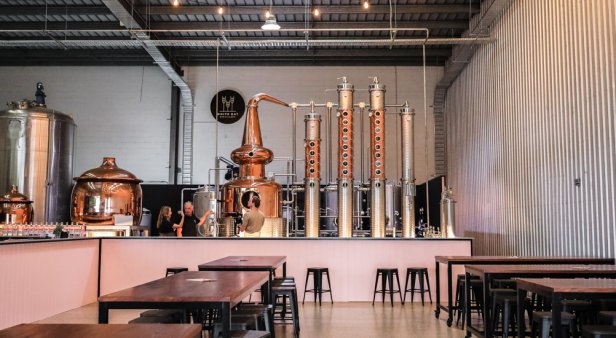 Northern newcomer – White Oat Distillery brings botanical sips to Biggera Waters