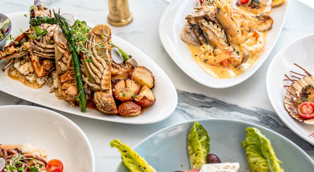 Opa! Seafood stalwart George&#8217;s Paragon opens two new restaurants in Coolangatta