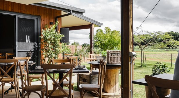 Say &#8216;I do&#8217; to Farm &amp; Co&#8217;s brand-new paddock-to-plate restaurant and wedding venue