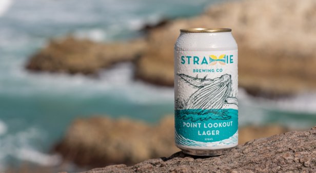 Sip from the source at Straddie Brewing Co&#8217;s new three-storey island brewhouse