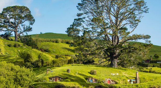Make like Bilbo and stay in Hobbiton from The Lord of the Rings for just $10 thanks to Airbnb