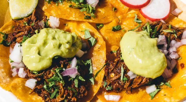 The round-up: tuck into tacos, tequila and taquitos at the Gold Coast&#8217;s best Mexican restaurants