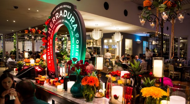 Celebrate Cinco de Mayo with a cocktail masterclass, frozen margs and a live mariachi band