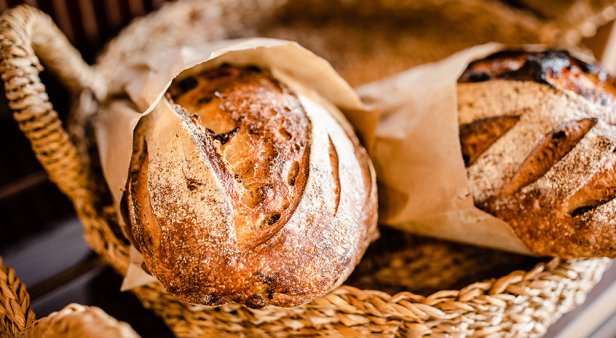 The Bread Social Currumbin
