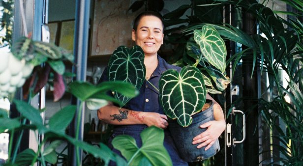 Much more than a plant store – Palm Beach&#8217;s Vessel and Green combines greenery with community