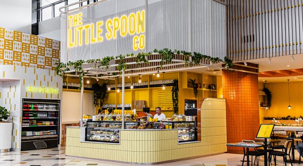 The Little Spoon Co