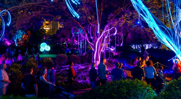 Magical light show The Enchanted Garden is returning to Roma Street Parkland