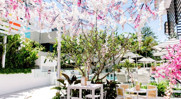 A secret Japanese garden is set to bloom in Surfers Paradise