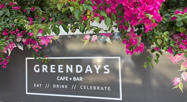 Go from the office to an oasis &#8211; Greendays is now open for dinner