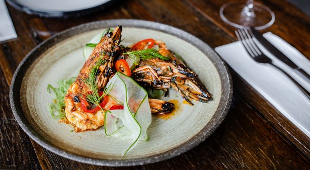 Honey Pepper Bar &#038; Grill brings modern Australian cuisine to The Kitchens at Robina Town Centre