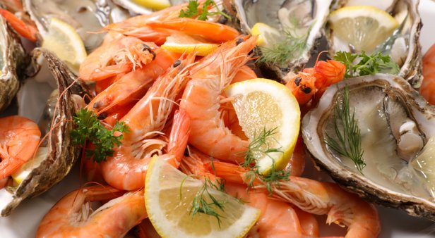 Sample the ocean&#8217;s freshest fare at North Stradbroke Island&#8217;s annual Seafood Spectacular