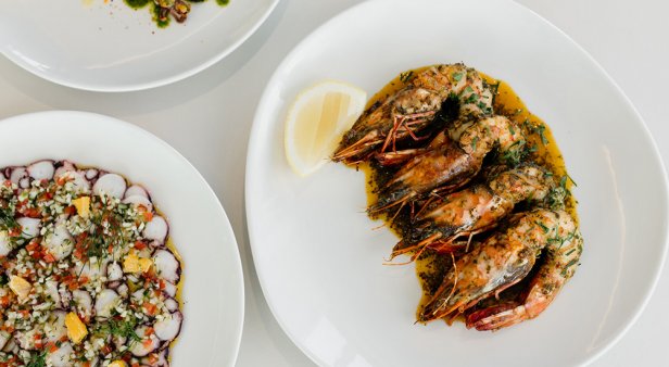 The round-up: get cracking to the Gold Coast&#8217;s best seafood restaurants