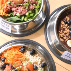 Surfers Pavilion is now open for breakfast and has dropped a dedicated canine menu for your furry friend