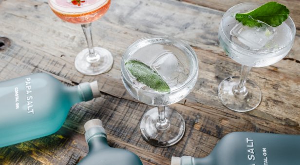 Tarte Beach House launches a new gin cocktail range featuring Margot Robbie&#8217;s Papa Salt