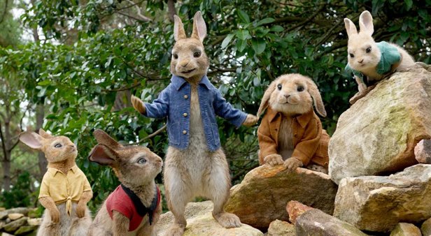 Peter Rabbit movie night at Sanctuary Cove