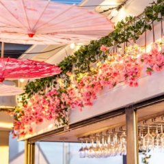 Japanese Cherry Blossom Festival at The Collective Palm Beach Rooftop