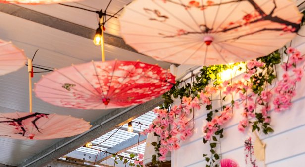 Sip gin cocktails and shape a bonsai tree at The Collective&#8217;s Japanese Cherry Blossom Festival