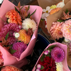 Mother&#8217;s Day Markets with The Village Markets