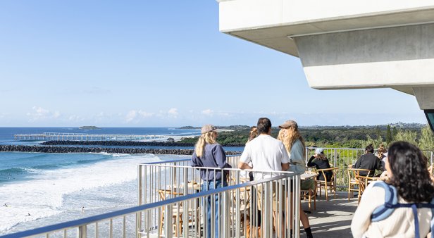 Enjoy brews, views and a spot of whale watching at Coolangatta&#8217;s Black Dingo Cafe