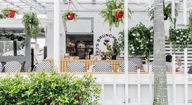 Blooms and bites – experience fusion fare and floristry at J&#8217;s Brunchette in Mermaid Beach