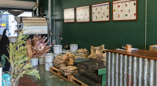 Get caffeinated at Miami&#8217;s new organic espresso bar and micro roastery – That’s Whyld Coffee Roasters