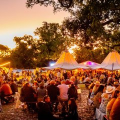 Put your petal to the metal – Toowoomba Carnival of Flowers tickets are on sale now