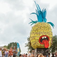 Big Pineapple Festival